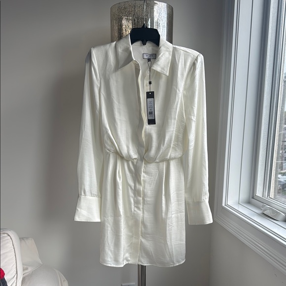 BCBG Ivory Long Sleeve Dress - Picture 1 of 6